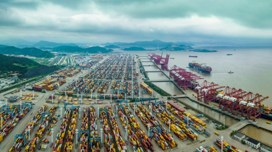 Inflation, high rates and war crimp global trade: WTO