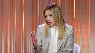 Meloni e i leader europei, 'bene tregua, ora negoziare fine rapida del conflitto