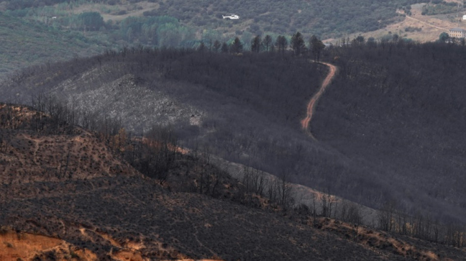 España da por finalizada la emergencia por la ola de incendios forestales