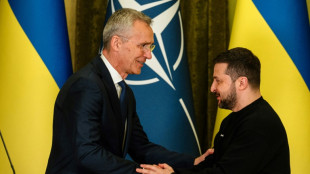 Ukraine, Sweden and spending: what's coming up at NATO summit