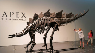 Millonario estadounidense Ken Griffin compró el esqueleto de dinosaurio más caro del mundo