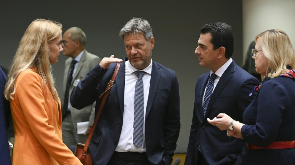 EU-Energieminister bef&uuml;rworten Gewinn-Deckel f&uuml;r Stromerzeuger