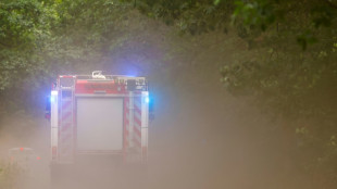 Gro&szlig;brand in Bereich von brandenburgischem Falkenberg noch nicht unter Kontrolle
