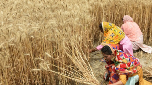 Countries growing 70% of world's food face 'extreme' heat risk by 2045