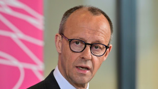 Merz weist Kritik an Reichtum und Fliegerhobby zurück