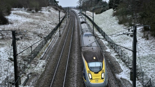 Konkurrenz für Eurostar: Weitere Genehmigung für Ärmelkanal-Zugstrecke möglich