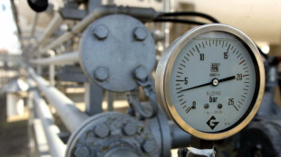 Il prezzo del gas chiude in rialzo a 44,5 euro al megawattora