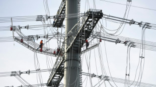 Politico: Bund will f&uuml;r rund 7,6 Milliarden Euro bei Netzbetreiber Tennet einsteigen