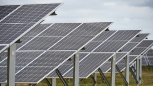 Franz&ouml;sisches Startup will Solarzellen-Fabrik mit 20 Gigawatt bauen