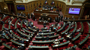 Assembleia francesa debater&aacute; mo&ccedil;&otilde;es de censura contra o governo nesta quarta-feira