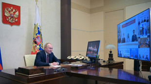 Putin addresses Italian firms despite Ukraine tensions