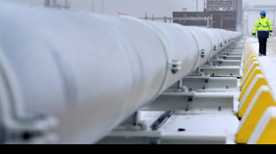 Gasverbrauch in Deutschland 2025 leicht gestiegen