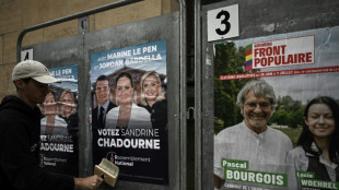 L&eacute;gislatives: dans un climat de plus en plus tendu, le RN d&eacute;nonce "un parti unique" pour le priver de la victoire