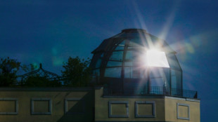 Klimaexperten erwarten noch größere Belastung durch Hitze und Trockenheit