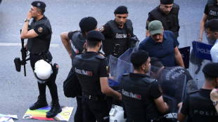 Plus de 200 arrestations pendant la Marche des Fiert&eacute;s &agrave; Istanbul