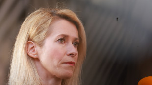 Kallas, 'a Hormuz ipotesi iniziativa Onu come nel Mar Nero sul grano'