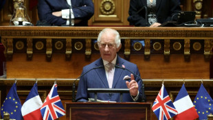 Charles proposes France-UK pact to combat climate 'emergency'