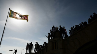 Sri Lanka unveils debt restructure plan to tackle economic crisis