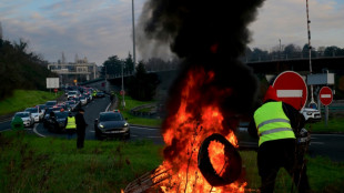 Transport des malades: forte mobilisation des chauffeurs de taxi &agrave; Lyon et dans le Sud