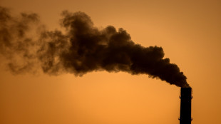 Ue, 'priorità a stop gas russo, poi proposta sul nucleare'