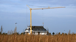 Sprunghafter Anstieg der Baugenehmigungen - Branche sieht aber noch gro&szlig;en Bedarf