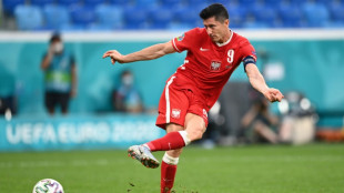 Sans attendre la Fifa, la Pologne et la Su&egrave;de refusent d'affronter la Russie