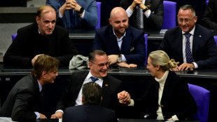 AfD-Abgeordnete reisen zu Gespr&auml;chen mit Trump-Partei in die USA