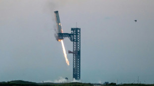 Starship, la m&eacute;gafus&eacute;e d'Elon Musk, pr&ecirc;te pour un 7e vol test
