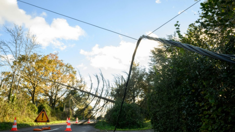 Temp&ecirc;te Caetano: 47.000 foyers encore sans &eacute;lectricit&eacute;