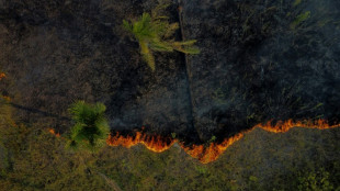 Inc&ecirc;ndios na Amaz&ocirc;nia legal batem recorde para um primeiro semestre em 20 anos
