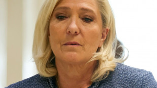 Condamnation Le Pen: le RN attaque les juges, décision en appel envisagée à "l'été 2026"