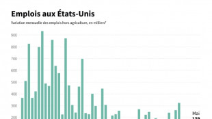 Des fissures sur le marché du travail aux Etats-Unis, encore loin de l'effondrement