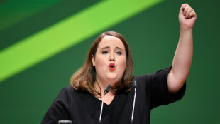 Gr&uuml;nen-Chefin Lang fordert Reform der Mindestlohnkommission