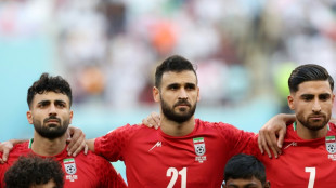 Political football: War and peace by other means at the World Cup