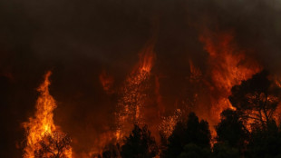 Gr&egrave;ce: les pompiers pouss&eacute;s "&agrave; leurs limites" face &agrave; de violents incendies