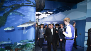 Kim conclui visita &agrave; R&uacute;ssia com 'sinceros agradecimentos' a Putin