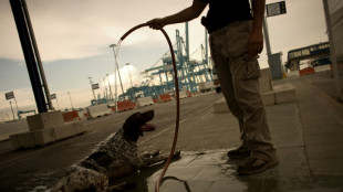 Confiscan en Espa&ntilde;a un cargamento de 8 toneladas de coca&iacute;na