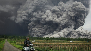 Indonesia eleva el nivel de alerta tras la erupci&oacute;n de un volc&aacute;n cerca de Bali
