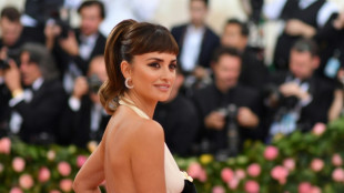 Penelope Cruz y Federer presentar&aacute;n gala del Met en honor a Karl Lagerfeld