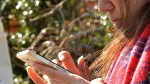 Gigantes tecnol&oacute;gicos crean un programa para combatir el abuso infantil en l&iacute;nea