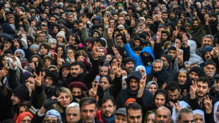 Turquie: les partis kurdes solidaires de leurs "fr&egrave;res" en Syrie