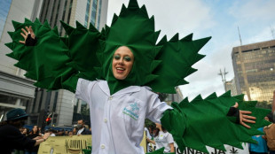 Br&eacute;sil: un tribunal autorise trois patients &agrave; cultiver du cannabis &agrave; usage m&eacute;dical 