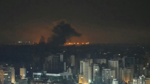 Liban: le Hezbollah fait &eacute;tat de nouveaux combats avec l'arm&eacute;e isra&eacute;lienne