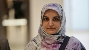 France : une Iranienne condamn&eacute;e &agrave; un an ferme, le sort de deux Fran&ccedil;ais en suspens