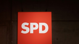 Hessischer SPD-Landesvorsitzender Bartol im Amt best&auml;tigt