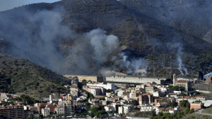 El incendio en la frontera de Espa&ntilde;a con Francia en v&iacute;as de ser controlado