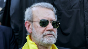 Larijani: Iran power player who rose then fell on winds of war  