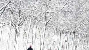 Fortes chutes de neige en Autriche: cinq  morts, dont quatre dans des avalanches