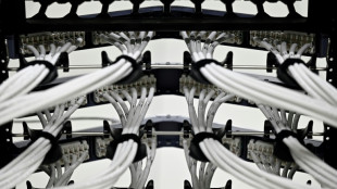 Spatenstich im Spreewald: Schwarz-Gruppe baut KI-Rechenzentrum f&uuml;r elf Milliarden Euro