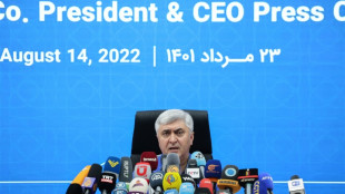 Irans gr&ouml;&szlig;ter Autobauer will sich auf russischen Markt konzentrieren